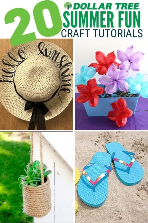 20 Dollar Tree Summer Fun Crafts for Adults - The Crafty Blog Stalker